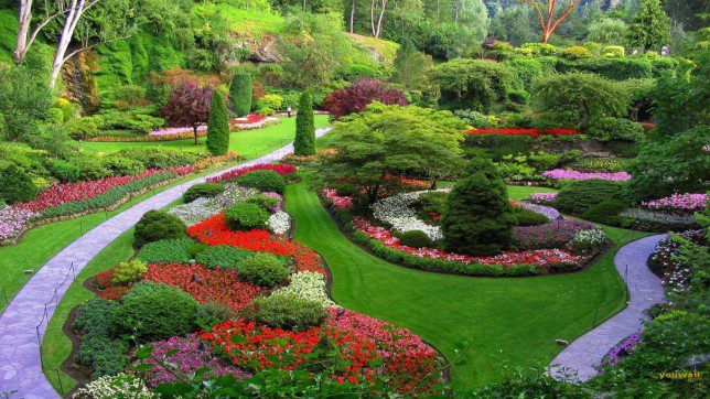 Top Landscaping Ideas for You Home